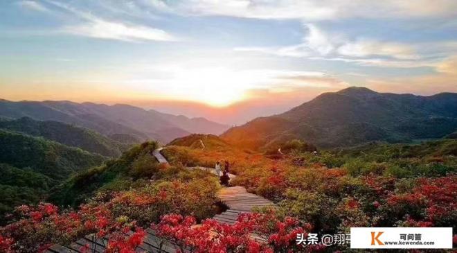 2022旅游业发展前景