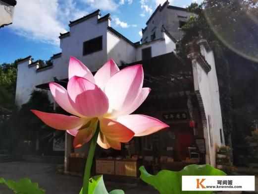 婺源景区门票多少钱