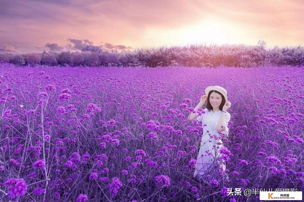 单反D750和D7200哪个好