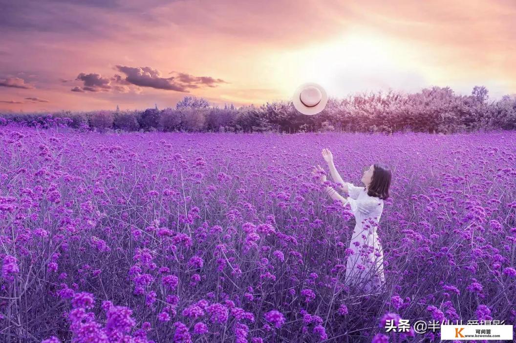 单反D750和D7200哪个好