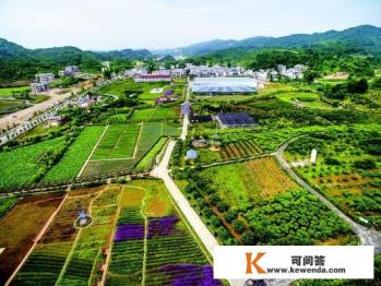 后花园生态旅游村要门票吗