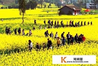 全域旅游发展策略