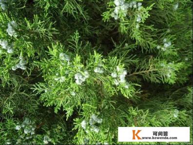 自驾成县至广元昭化古城，剑门关景区求最佳路线