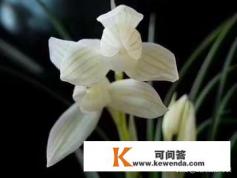 老公蛮不讲理偏执怎么办
