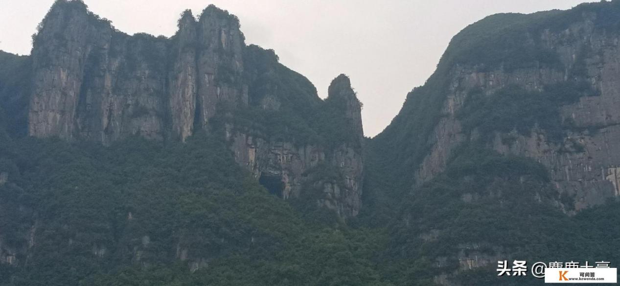 手机上怎么回看四川文化旅游频道