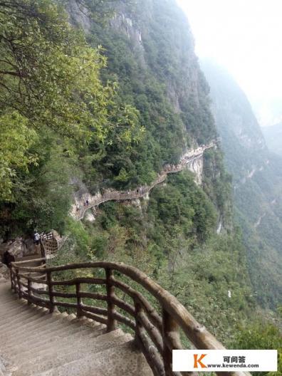 怎样才可以进重庆市旅游局工作？需要什么条件