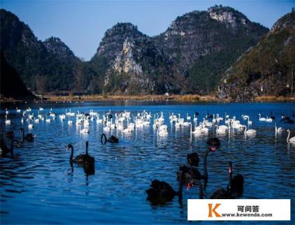 如何看待17年有5亿多海内外游客选择来云南旅游