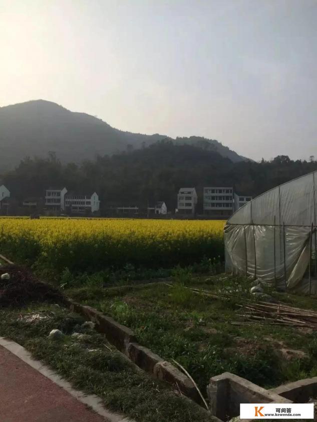 乡村旅游项目策划特点案例分析