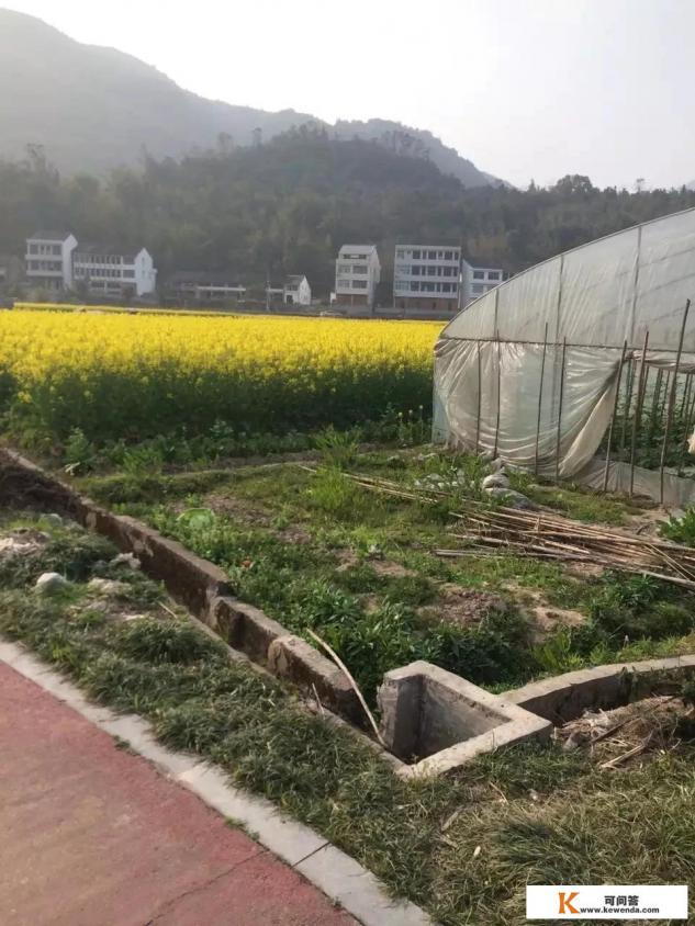 乡村旅游项目策划特点案例分析