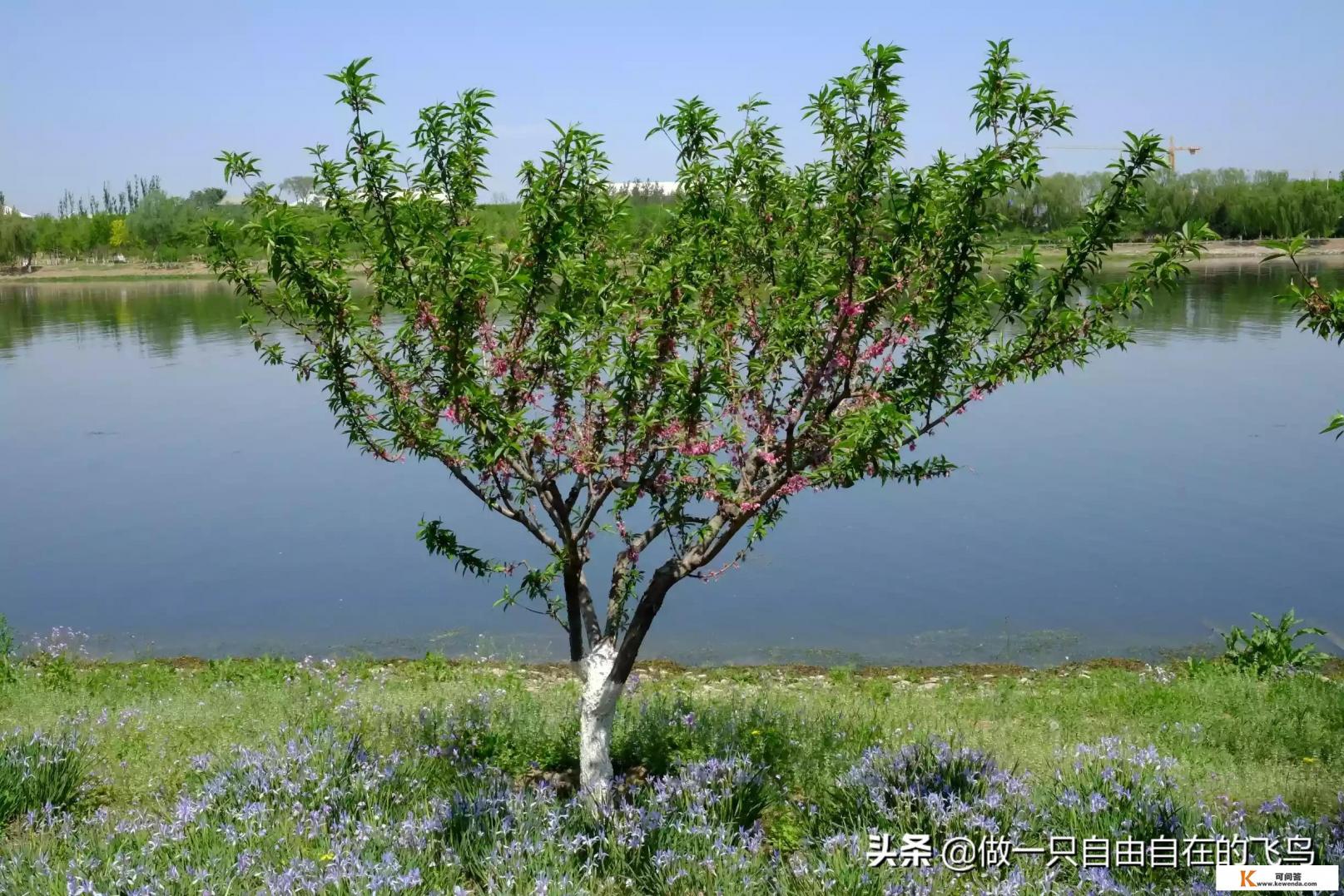适合旅行的正三轮摩托