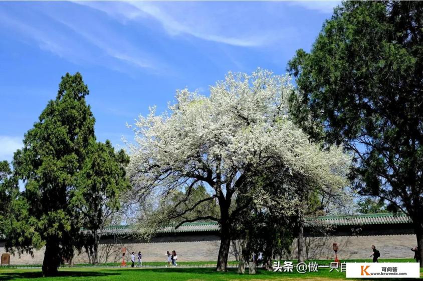 适合旅行的正三轮摩托