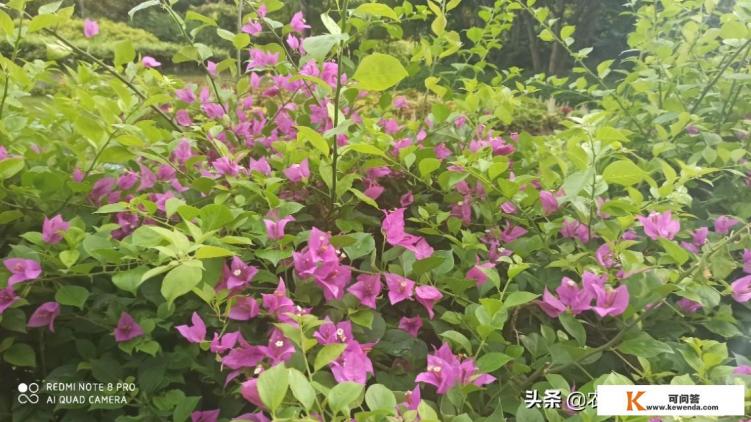 冬季海南三亚旅游穿衣指南