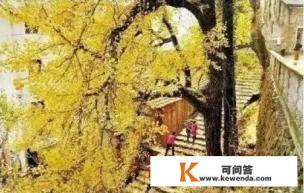 南京到上海沿途哪里好玩