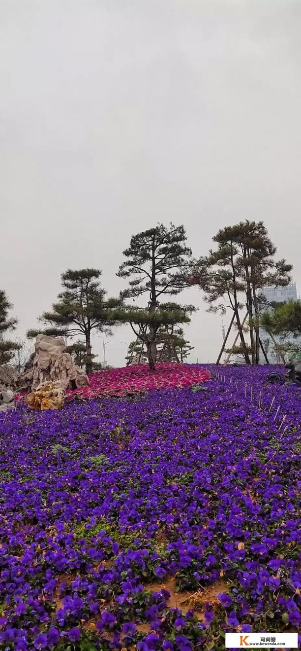 散客怎么去批发市场拿货