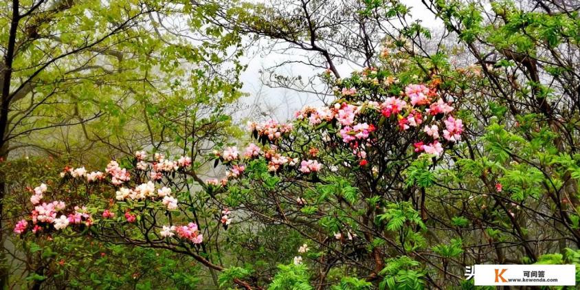 中国生态旅游面临的挑战 中国生态旅游面临的挑战