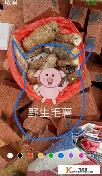 什么手机软件制成朋友圈10秒小视频最好用
