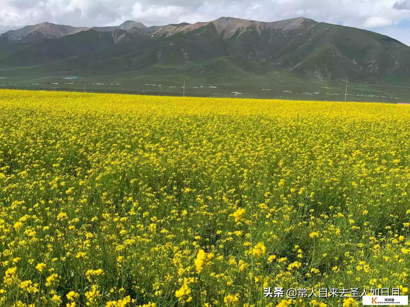 怎样开旅游公司