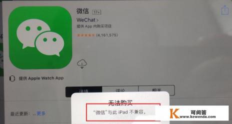 ipad无法安装app