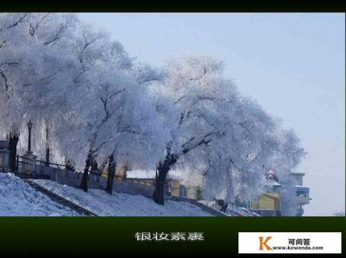 冬季哈尔滨旅游攻略
