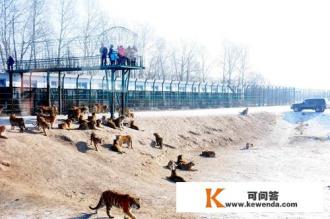 两个人去哈尔滨旅游需要多少钱