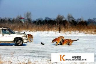 两个人去哈尔滨旅游需要多少钱