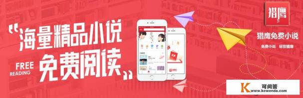 猎鹰与冬兵小说结局