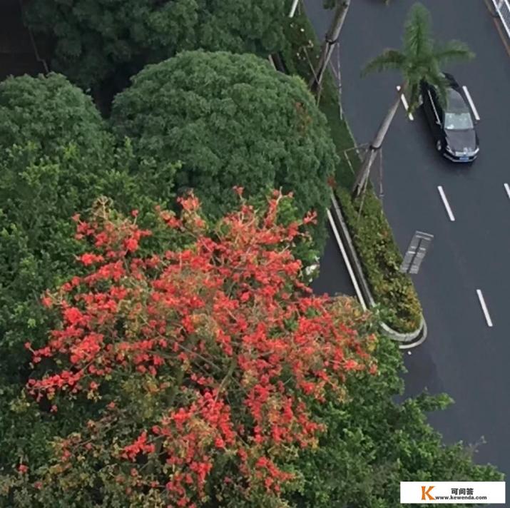 去美国旅游签证面试一般都会遇见什么问题