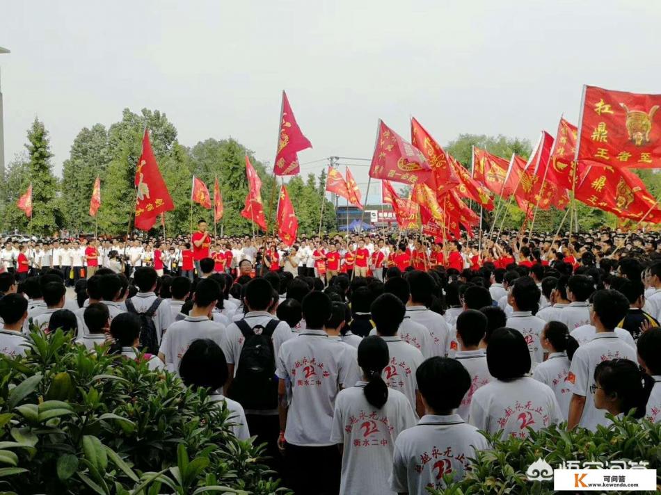 主角叫林羽沈颜的小说