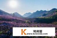 林州市十大旅游景点有哪些
