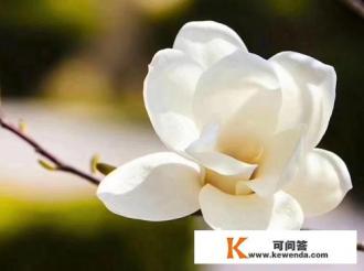 你是如何看待已婚又轻浮的女人