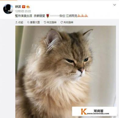 为什么舒淇会发微博说暂告演员生涯