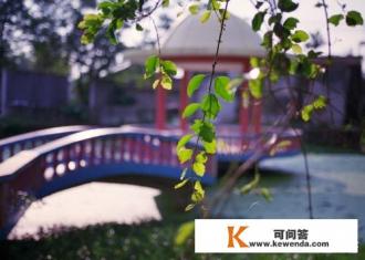 和女生去图书馆怎么互动