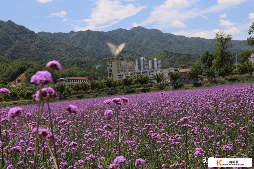 伊宁花海旅游景点