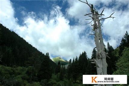 松潘县牟尼沟旅游景区的风景美吗