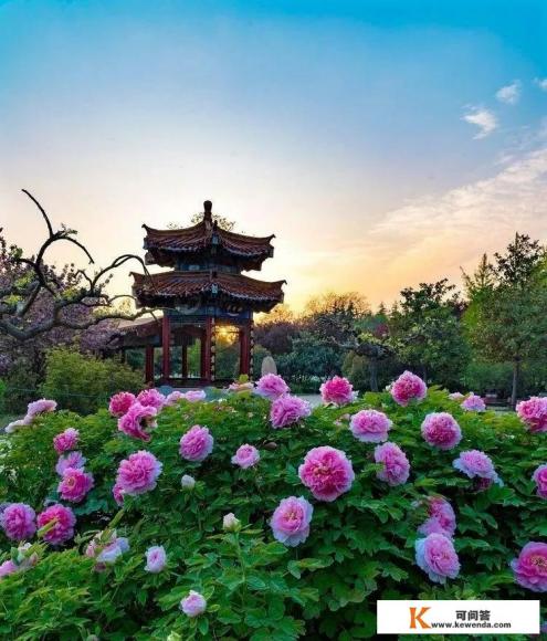 四个月婴儿能带出去旅游吗