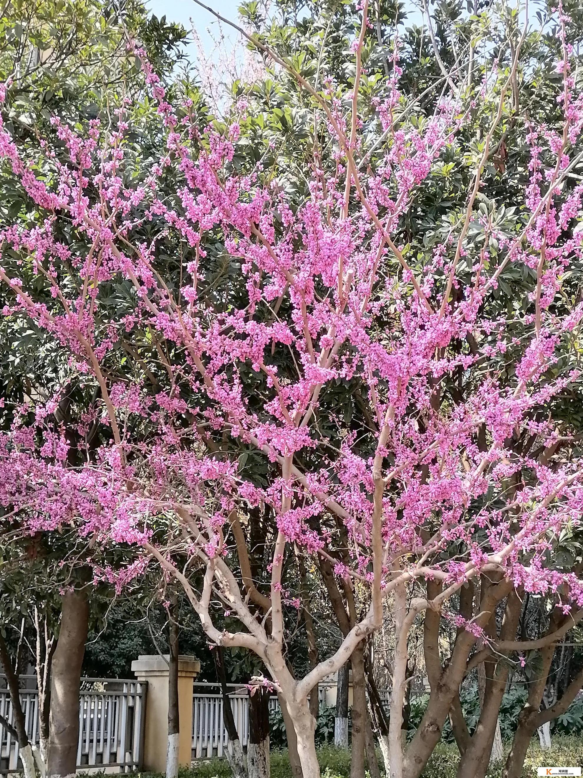 我想去旅游，可我又不舍得花钱怎么办