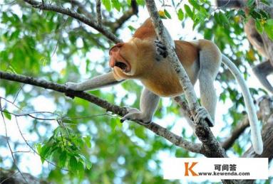 沙巴旅游必带物品清单