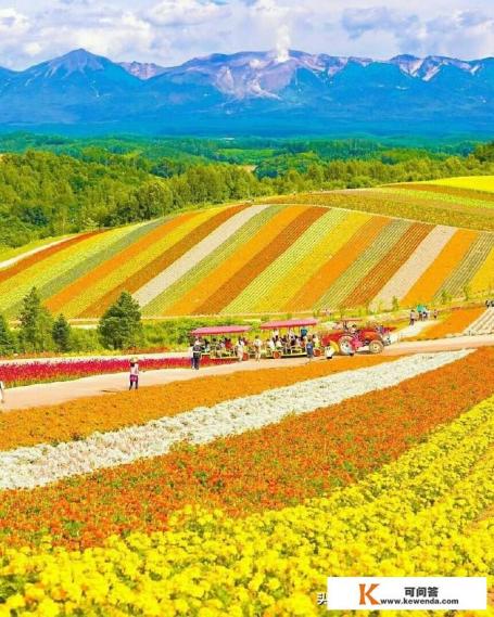 北海道有哪些不能不去的景点呢？总共花费大概要多少