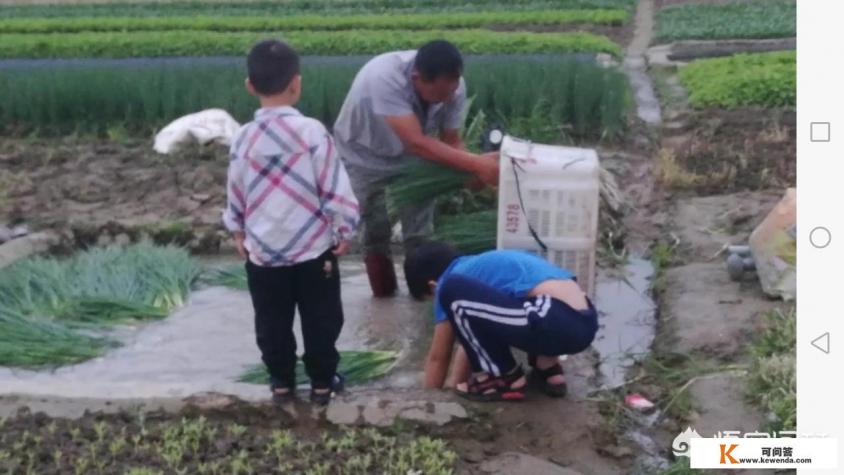 我觉得生活领域也可以跟美食旅行相关，因为是生活的一部分，你觉得呢