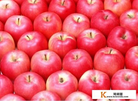 新苹果已上市，价格达4块，今年的苹果价格会“疯狂”吗