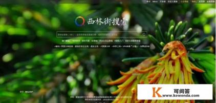 小说网站哪个好