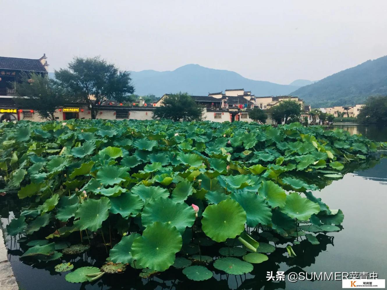 三月下旬皖北自驾游去皖南，5-6天，求路线
