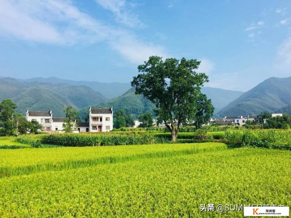 三月下旬皖北自驾游去皖南，5-6天，求路线