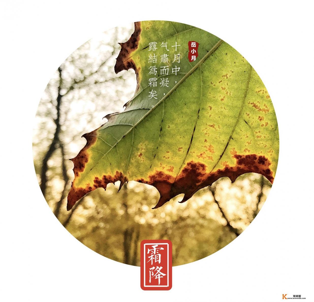 用什么软件可以做出圆形图片