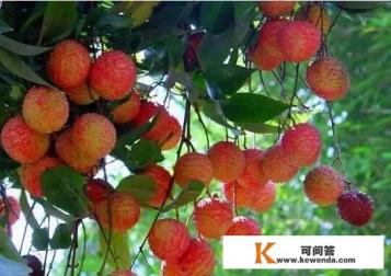 想知道: 广州市，旅游观光试验线1公交线路的信息