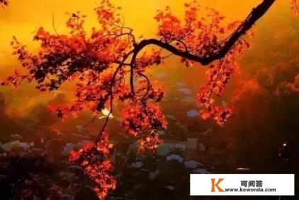 10月底11月初，想去婺源旅行，有高品质的自驾攻略吗