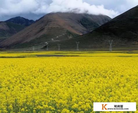 可以推荐下去西藏亚东旅游的攻略吗