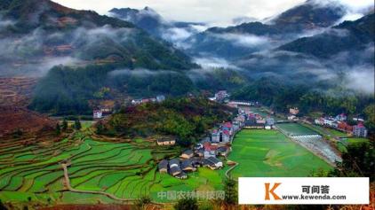 浙江开化有什么景点