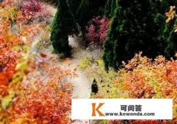 石家庄附近最近的赏红叶的地点在哪儿里