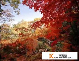 石家庄附近最近的赏红叶的地点在哪儿里